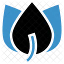 Flower  Icon