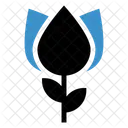 Flower  Icon