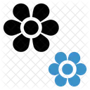 Flower  Icon