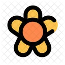 Flower  Icon