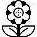 Flower  Icon