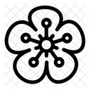 Flower  Icon