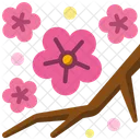 Flower  Icon