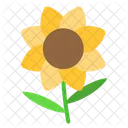 Flower  Icon