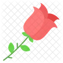 Flower  Icon