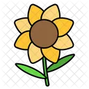 Flower  Icon