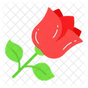 Flower  Symbol