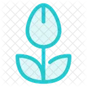 Flower  Icon