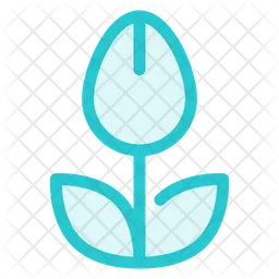 Flower  Icon