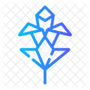 Flower  Icon