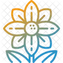 Flower Garden Floral Icon