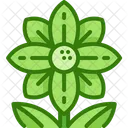 Flower Garden Floral Icon