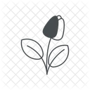 Flower  Icon