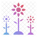 Flower  Icon