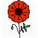 Flower Opium Poppy Icône
