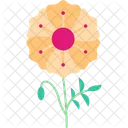 Flower Opium Poppy Icône