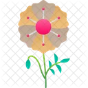 Flower Opium Poppy Icône