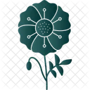 Flower Opium Poppy Icône