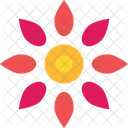 Flower  Icon