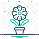 Flower  Icon