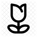 Flower  Icon