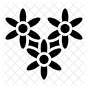 Flower  Icon