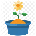Flower In Pot Flower Pot Icon