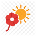 Flower in sunlight  Icon