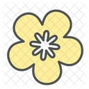 Flower Ochna Star Icon