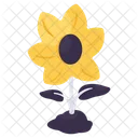 Flower Petal Floweret Blossom Icon