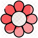 Flower Petals Icon