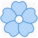 Flower Petals Icon