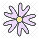 Flower Phlox Bifida Icon