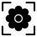 Flower Photo Capture Camera Focus Focus Crosshair Icon