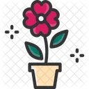 M Flower Flower Plant Flower Pot Icon
