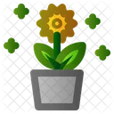 Garden Pot Spring Icon
