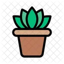 Plant Flower Green Icon