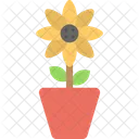 Sunflower Plant Blossom Icon