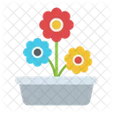 Pot Plant Daisy Icon
