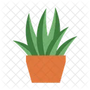 Flower Plant Potted Flower Indoor Flower Icon