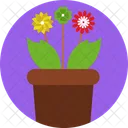 Flower Plant Bloom Bulbous Plant Icon