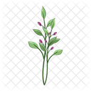Flower plant  Icon