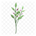 Plant Ecology Spring Flower Icon