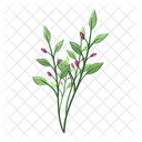 Plant Ecology Spring Flower Icon