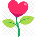 Flower Plant Heart  アイコン
