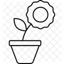 Plant Nature Pot Icon