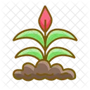 Flower Plant Icon