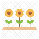 Sunflower Gardening Flower Icon