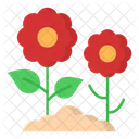 Flower Plantation Icon
