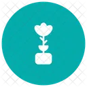 Flower Pot Eco Icon